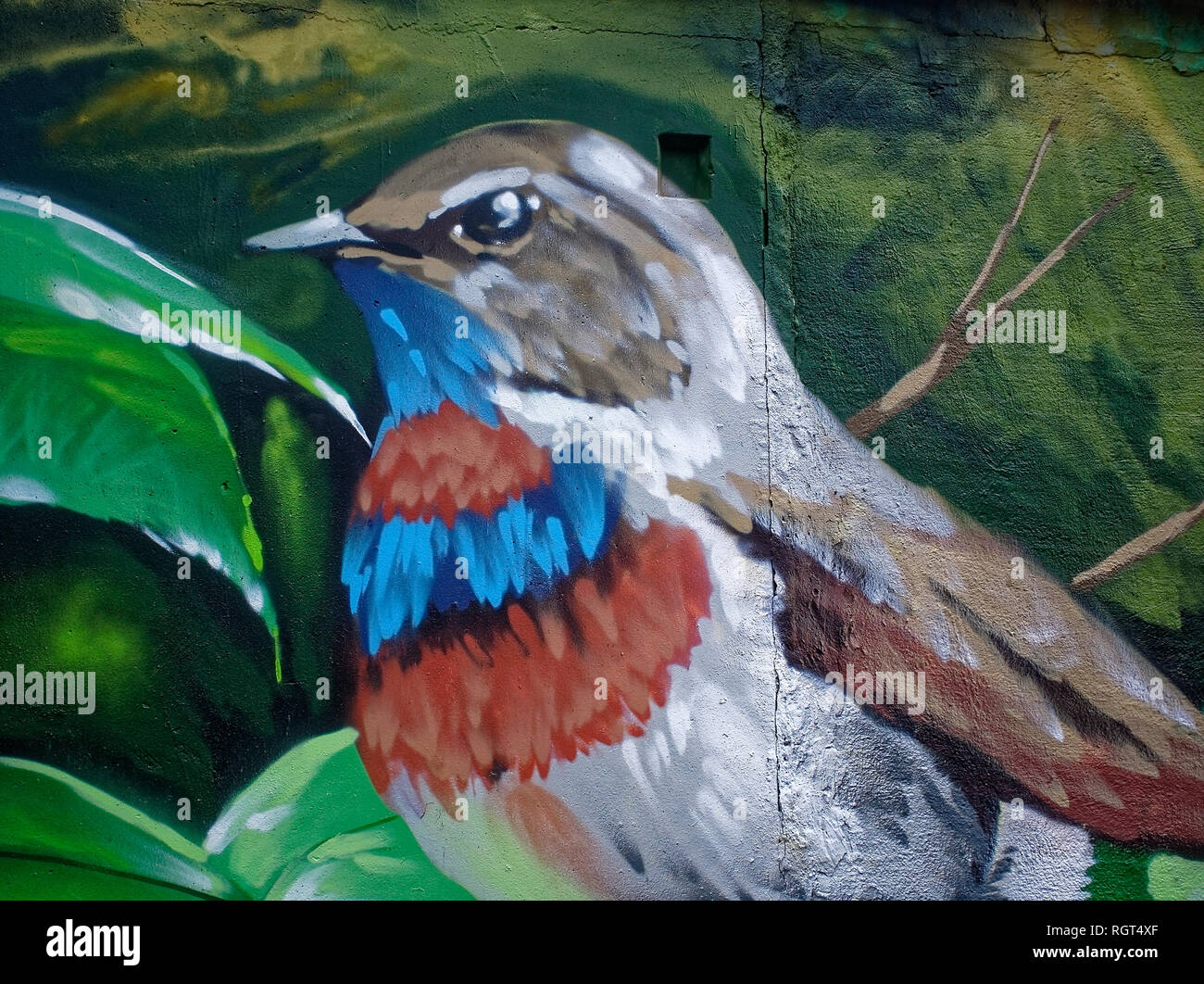 Uccelli graffiti sul muro dell'edificio, Mosca Foto Stock