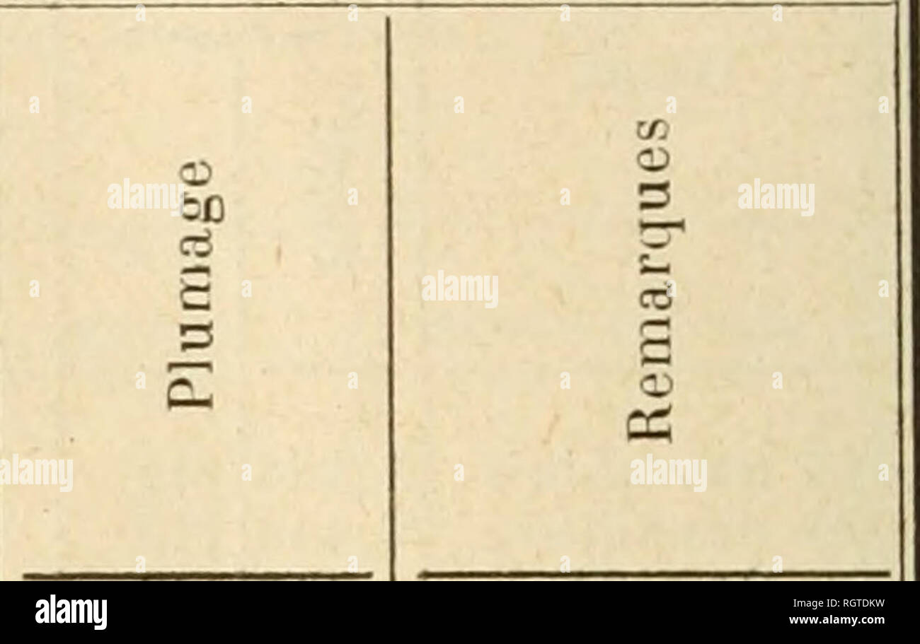 . Bollettino biologique de la France et de la Belgique. Biologia; storia naturale. 11 novembre 25 novembre 9 dÃ©cembre 2;mi dÃ©cembre fi janvier 20 janvier 10 fÃ©vrier 24 fÃ©vrier 10 mars 24 mars 7 avril. 21 avril. 12 mai . 1.840 1 1.702 795 1.922 1.822 1.958 2.038 2.005 2,.037 i 2.007 1.965 1.850 1.952 122 119 21 124 122 125 126 125 126 125 125 125 122,5 CrÃªte 84.45 C6.3(J 59. 30 56.29 70.32 80.45 100. ;;I 100.52 105.5Ã®i 108.68 104.60 105.57 108 55 &gt;...*-â^ "o eo o K cr j 14 Â" 14 n 14 â 14 ,1 15 Â" 16 n 18 istinti sexuels, chant istinti istinto abolis sexuel reparait A l'autopsia: n. Foto Stock