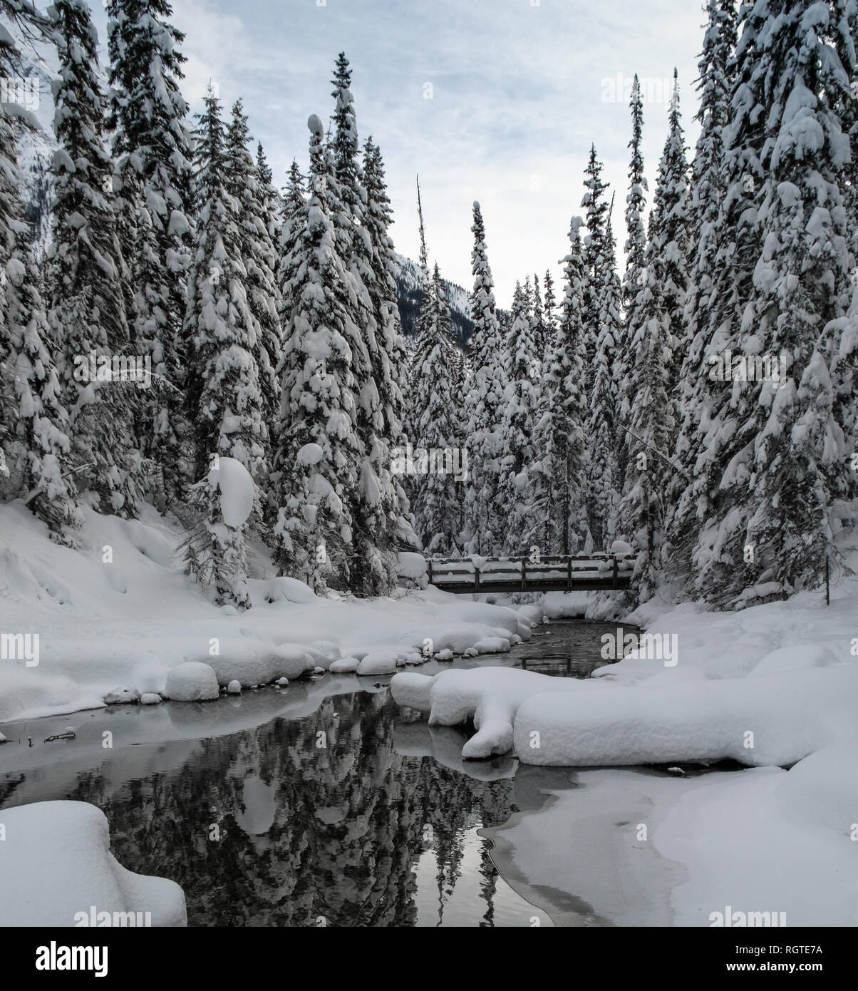 Inverno stupende riflessioni di coperta di neve abeti nelle acque del Lago Smeraldo, Parco Nazionale di Yoho, British Columbia, Canada Foto Stock