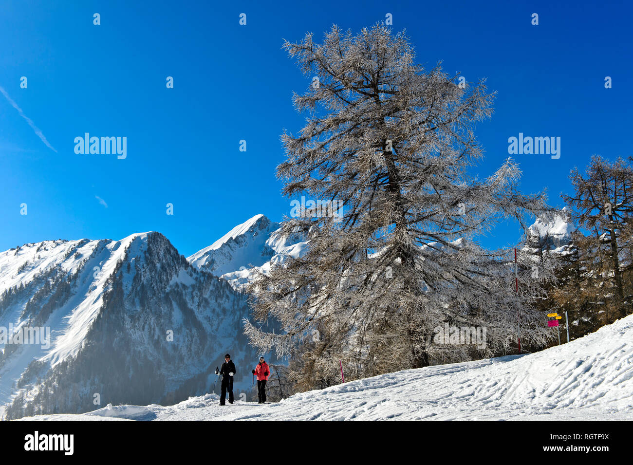 Escursione invernale nelle Alpi Pennine, Ovronnaz, Vallese, Svizzera Foto Stock