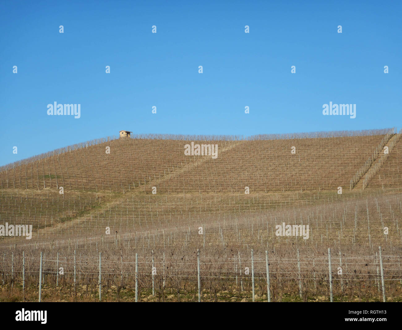 Vista dei vigneti delle Langhe, Piemonte - Italia Foto Stock