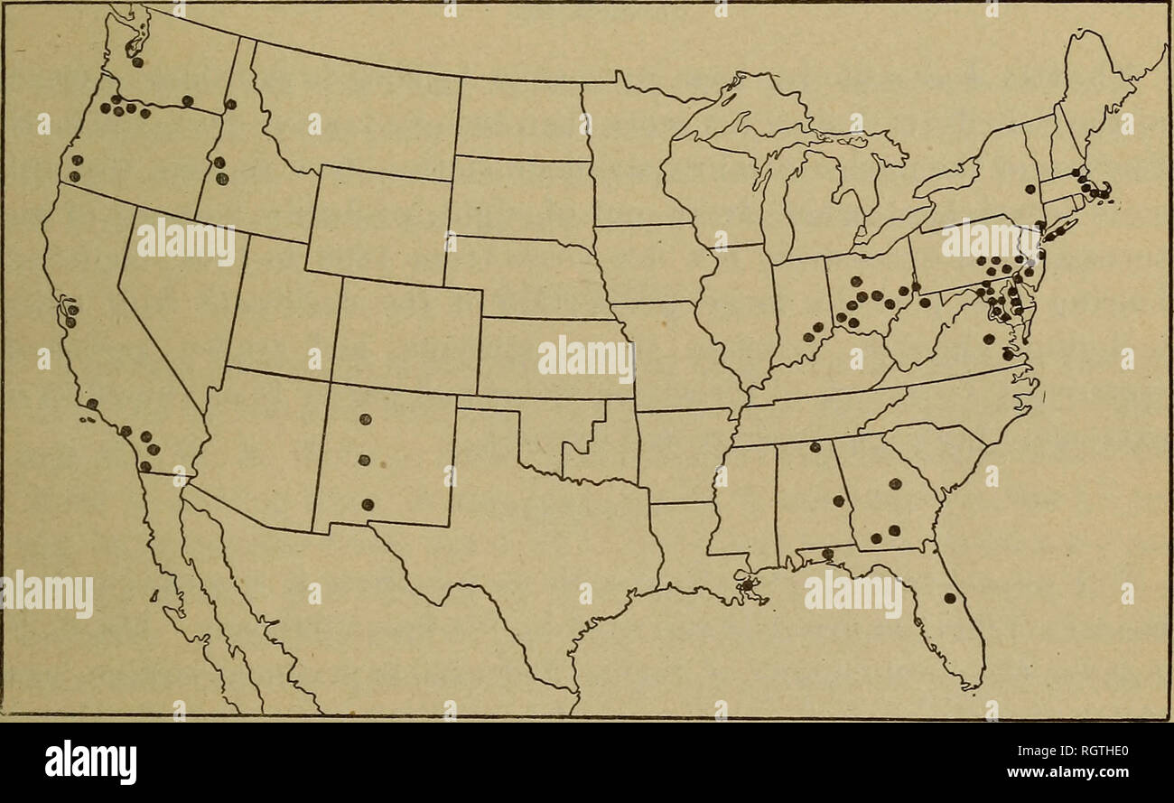 . Bollettino. Insetti; pesti di insetto; Entomologia; insetti; pesti di insetto; Entomologia. SUMMAEY di distribuzione e la condizione attuale. 19 in modo generale nella maggior parte degli Stati in cui il San Jose scala si è verificata per un numero di anni che non è fattibile per indicare i diversi punti di infestazione, e persino in* stati peggiori infestati molti frutteti sono liberi dalla scala; ma se è stato effettuato un tentativo di grafico- ically foto la distribuzione su una mappa, i punti di infestazione sarebbe così numerosi come per dare un aspetto di absolutel}^ completare l'infestazione. Le pubblicazioni citate possono essere rife Foto Stock