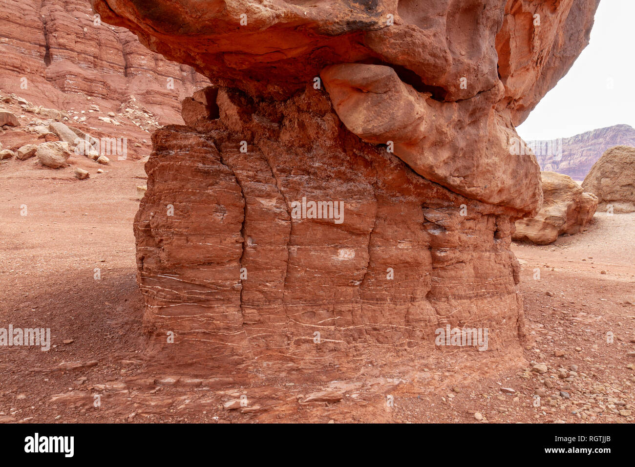 Dettaglio piedistallo che mostra la sezione di un equilibrato rock in Marble Canyon, Glen Canyon Recreation Area, Arizona, Stati Uniti. Foto Stock