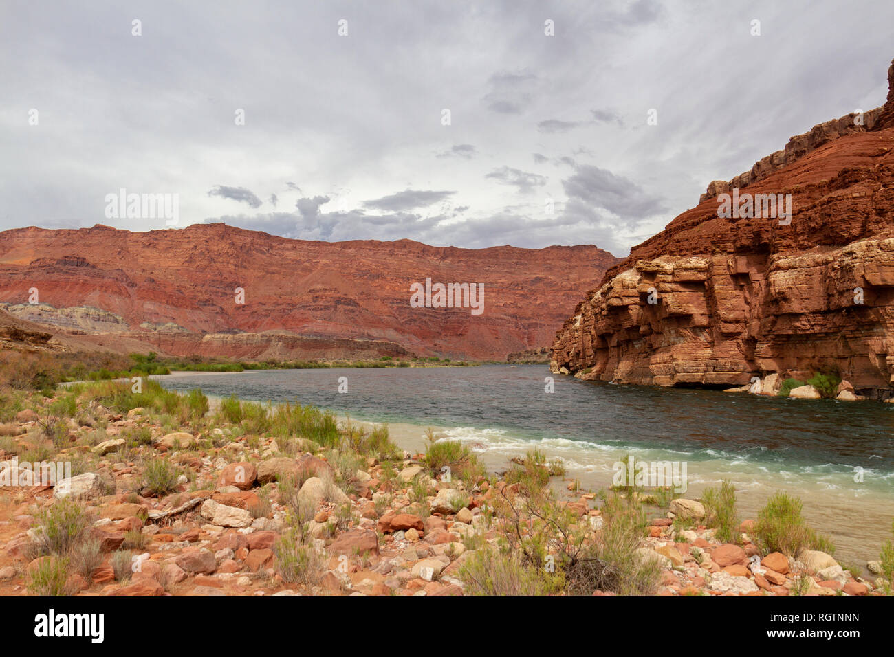 Il Paria Riffle vicino a Lee's Ferry, il Fiume Colorado, Glen Canyon Recreation Area, Arizona, Stati Uniti. Foto Stock