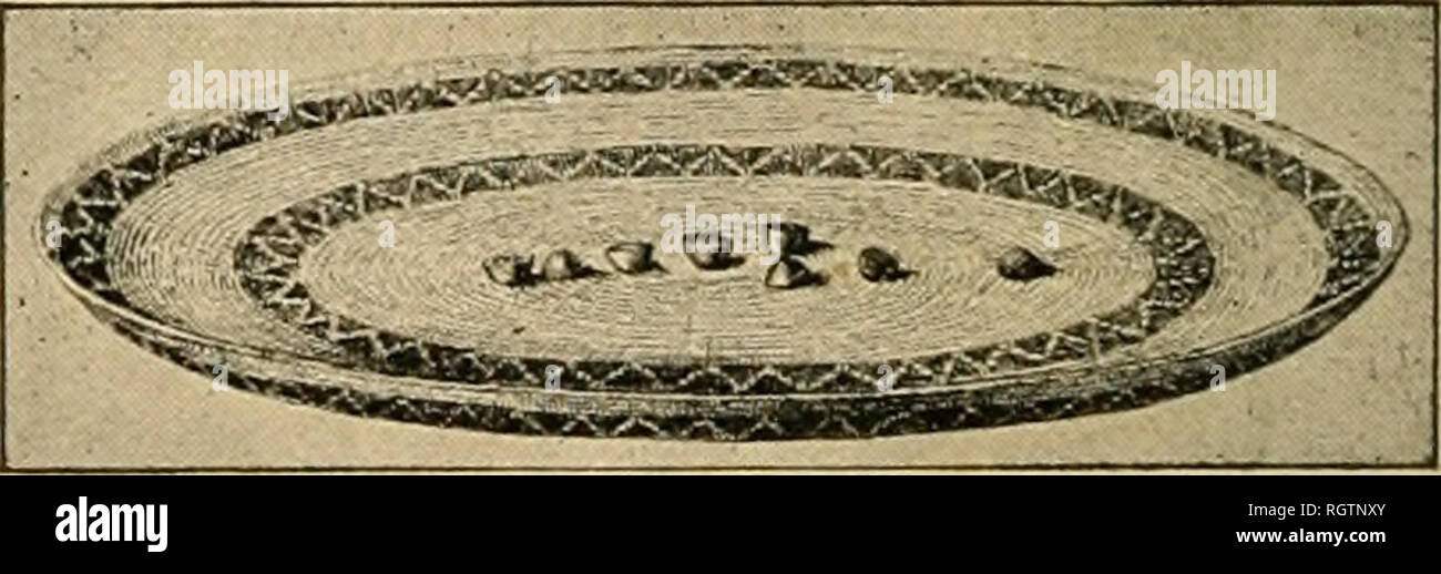 . Bollettino. Etnologia. Bocce. Cestello gioco di dadi il Zuni e attributo Navaho l origine di questo divertimento al ragno e asso- ciate le figure con la ragnatela scudo netto della guerra gli dèi. Bambini''sgiochi.-indiani bambini giocano una varietà di giochi che sono praticamente identici a quelli riprodotti dall'refri- dren di civiltà. Essi sono tutti mi- metic nel loro carattere e non hanno alcuna ri- spetto al cerimoniale e giochi divinatorie dei loro anziani, ad eccezione di quanto essi possono essere imitazioni di loro. (Vedere Divertimenti, bambino vita.) Chunkey.-l'anello-e-pole gioco delle insenature e neigh Foto Stock