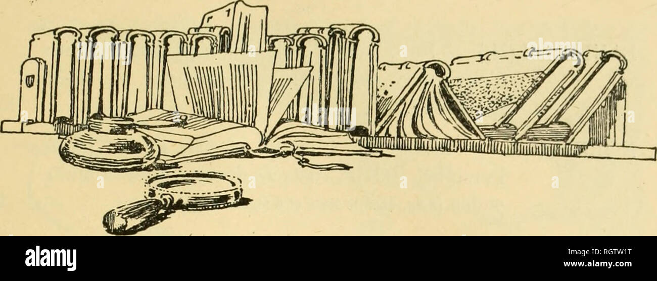 . Bollettino biologique de la France et de la Belgique. Biologia; storia naturale. Tabella pagine AMANS. - Du rôle des forme animales clan les progrès de la navigation aérienne et aquatique (7 ûg. dans le texte) 207 ANCEY (C.-F.). - Osservazioni sur les Mollusques gasté- ropodes sénestres de l'époque actuelle 187 ANCEY (C.-F.). - Réflexions sur la faune malacologique du lac Tanganika, et Catalogue des espèces de ce lac 229 DOLLO (L.). - Les seduce des Iguanodons d'après les em- preintes des pieds et de la coda (4 ûg. dans le texte et 1 planche) 1 FAURÉ-FRÉMIET (E.). -- Variazione expérimentale ch Foto Stock