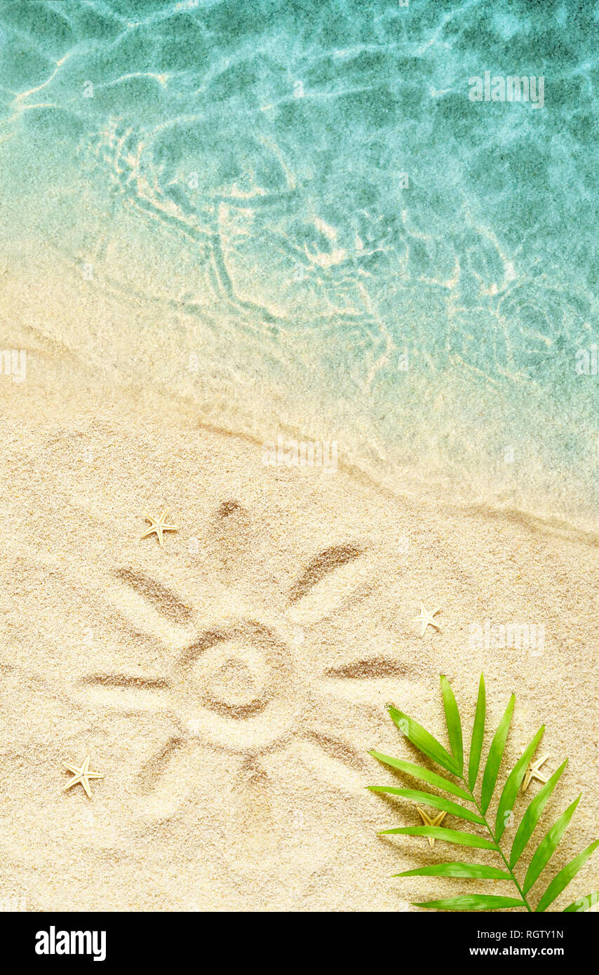 Sfondo tropicale. Palm tree branche con starfish su sfondo di sabbia e mare. Il viaggio. Copia dello spazio. Foto Stock
