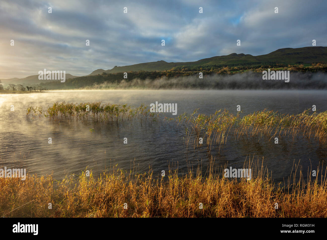 Nebbia di mattina su Glencar lago, nella contea di Sligo, Irlanda. Foto Stock