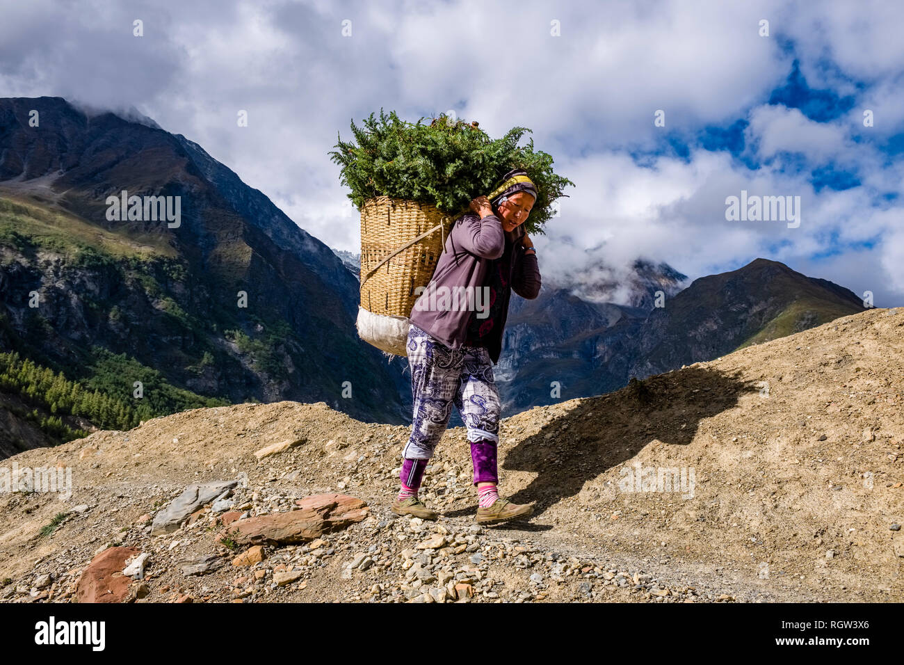 Una donna locale è portatore di verde in un cestino nella parte superiore della valle Marsyangdi, nuvoloso paesaggio alpino del gruppo di Annapurna a distanza Foto Stock