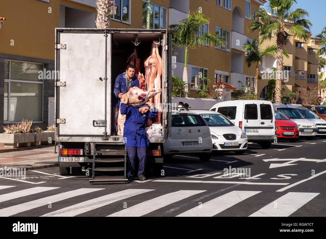 Per la consegna di carni, carcasse di suino viene scaricato da un furgone refrigerato e consegnato a un negozio di macellaio in Playa San Juan, Tenerife, Isole Canarie, Spai Foto Stock
