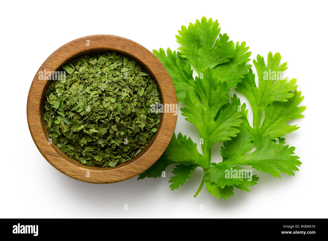 Essiccato di coriandolo tritato foglie in legno scuro ciotola accanto a foglie di coriandolo fresco isolato su bianco dal di sopra. Foto Stock