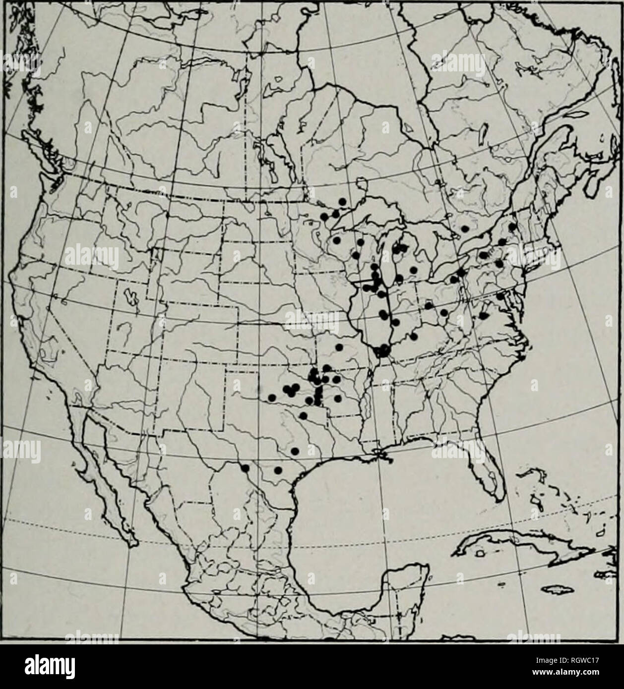 . Bollettino. Storia naturale; storia naturale. Agosto, 1944 Ross: Caddis mosche di Illinois 15. Fig. 18.-Gamma mappa di Chimarra obsciira. shawnee e Ochrotrichia anisca. Queste specie e altri simili abitudini faunistica si verificano in Ozark colline del sud Illi- nois. Specie Southwestern.-Un altro gruppo di Illinois caddis vola è la zona a sud o sud-occidentale in generale la distribuzione. Questo in- conclude tali forme come Cheumatopsyche lasia, fig. 12, e di Chimarra feria, fig. 17. La gamma dei centri di ciascuna intorno a Oklahoma, con estensioni verso est per Illinois e come lontano nord come il Montana o Minnesota Foto Stock