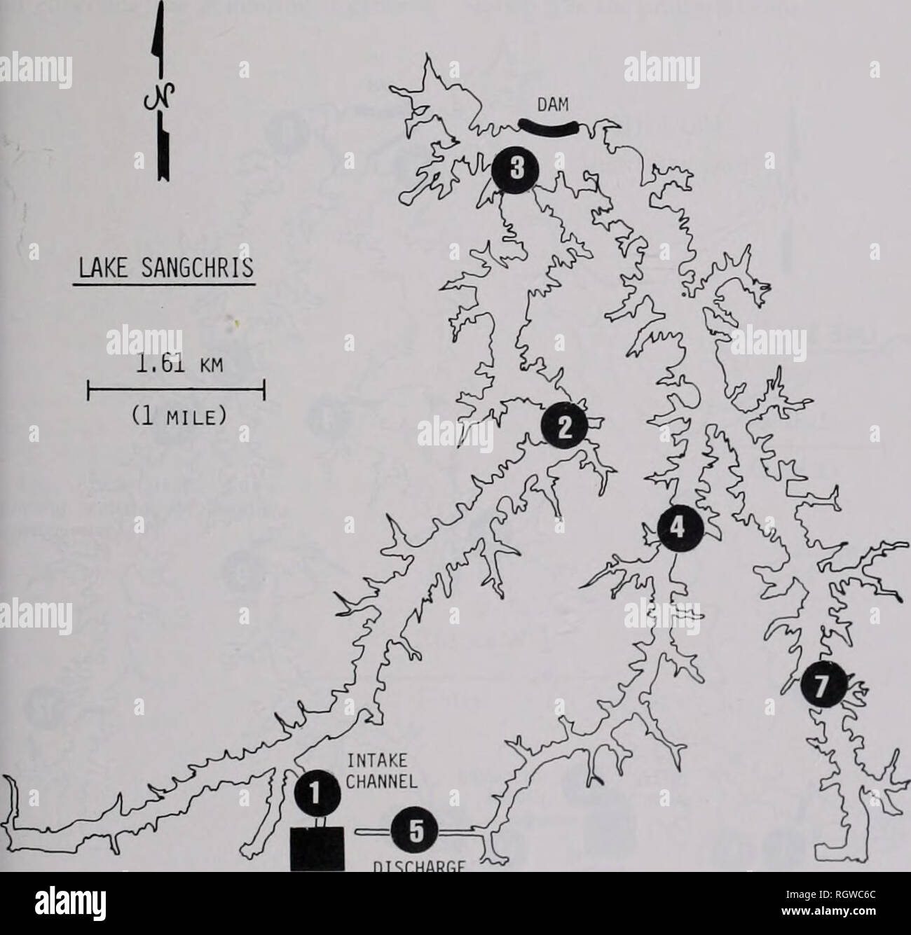 . Bollettino. Storia naturale; storia naturale. Agosto 1981 Webb: macroinvertebrati bentonici 359 fondo consisteva di finissimo limo glaciale con alloctone detriti organici. Il sedimento sul fondo del canale di scarico dalla pianta di potere è stata ricoperta con uno strato di scoria di silicato. Per scopi di confronto con un lago non riceve l'effluente riscaldato, la comunità bentoniche del lago lontra è stata esaminata da aprile a novembre 1975 e da aprile a settembre 1976. Otter Lake è un approvvigionamento di acqua serbatoio 9,7 km (6 miglia) ad ovest di Girard, Macoupin County, Illinois, e giace sulla stessa topografia dei sedimenti Foto Stock