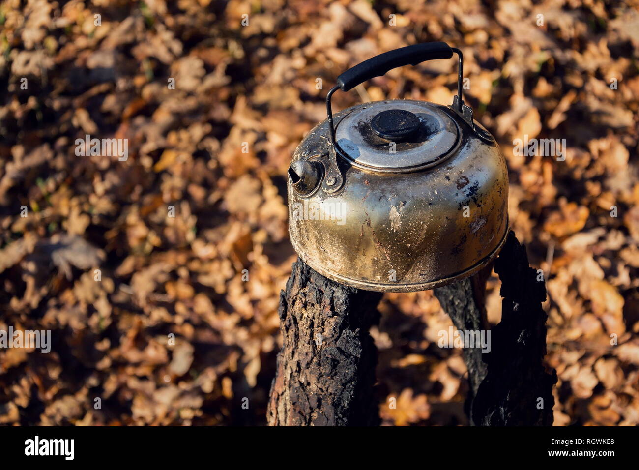 Stagno bollitore del tè si erge su trascorso svedese torcia di fuoco nella foresta, caduto foglie sullo sfondo della natura, soleggiata giornata autunnale Foto Stock