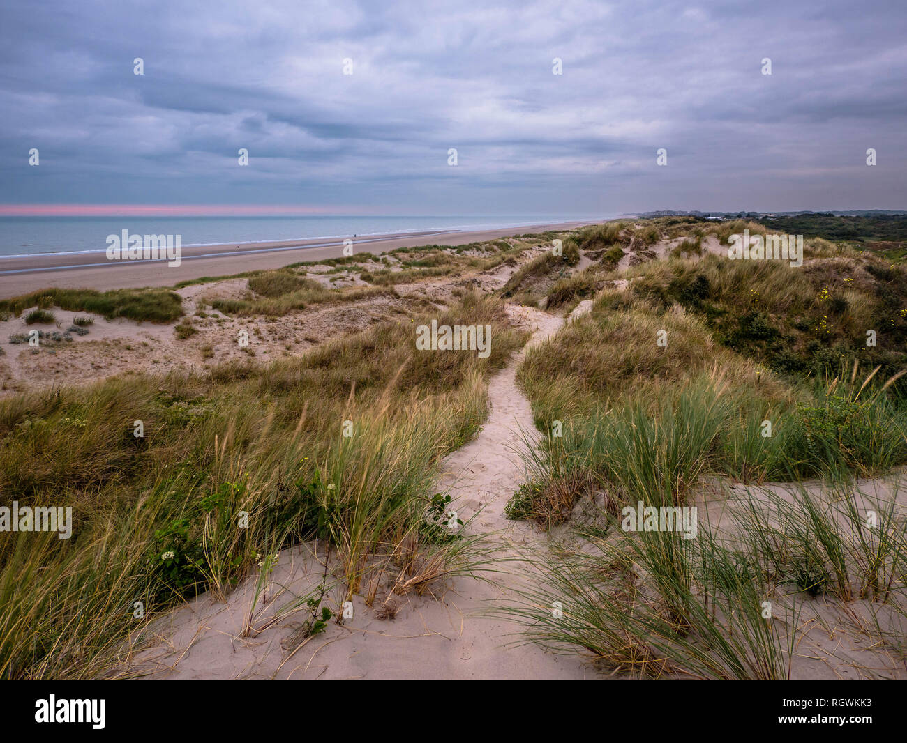 Piccolo sentiero sulla marram erba dune coperte con il Mare del Nord in background Foto Stock