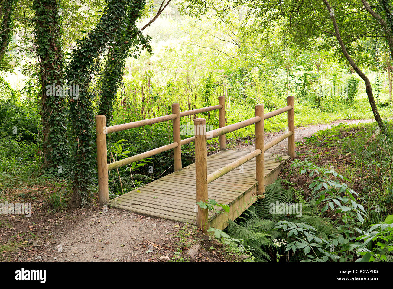 Ponte di legno nella foresta o parco. Calma scena all'aperto. Nessuno Foto Stock