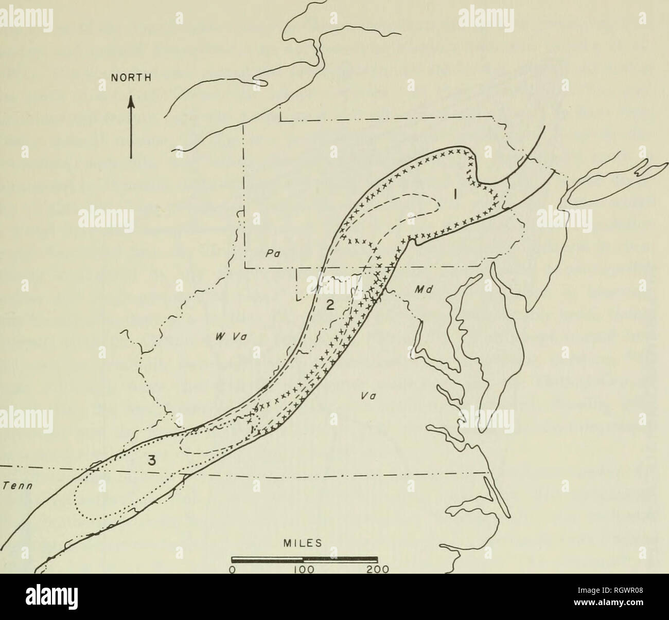 . Bollettino. Storia naturale. ORDOVICIAN APPALACHIAN ECOLOGIA LATE ORDOVICIAN associazioni faunistiche 55. FIG. 24. Distribuzione di Late Ordovician associazioni faunistiche (europee) nel centro di ap- palachians. I dati dalle figure 13, 14, 16 e 17 sono combinati per formare questo modello distributivo (vedi tabella 9 per la composizione delle specie). La figura 6 illustra le relazioni stratigrafiche dell'associazione faunistico si sovrappone. Le comunità sono: 1. Comunità Sowerbyella-Onniella 2. Comunità Orthorhynchula-Ambonychia 3. Zygospira-Hebertella comunità ambienti di recente, un'area di bassa benthoni primario Foto Stock