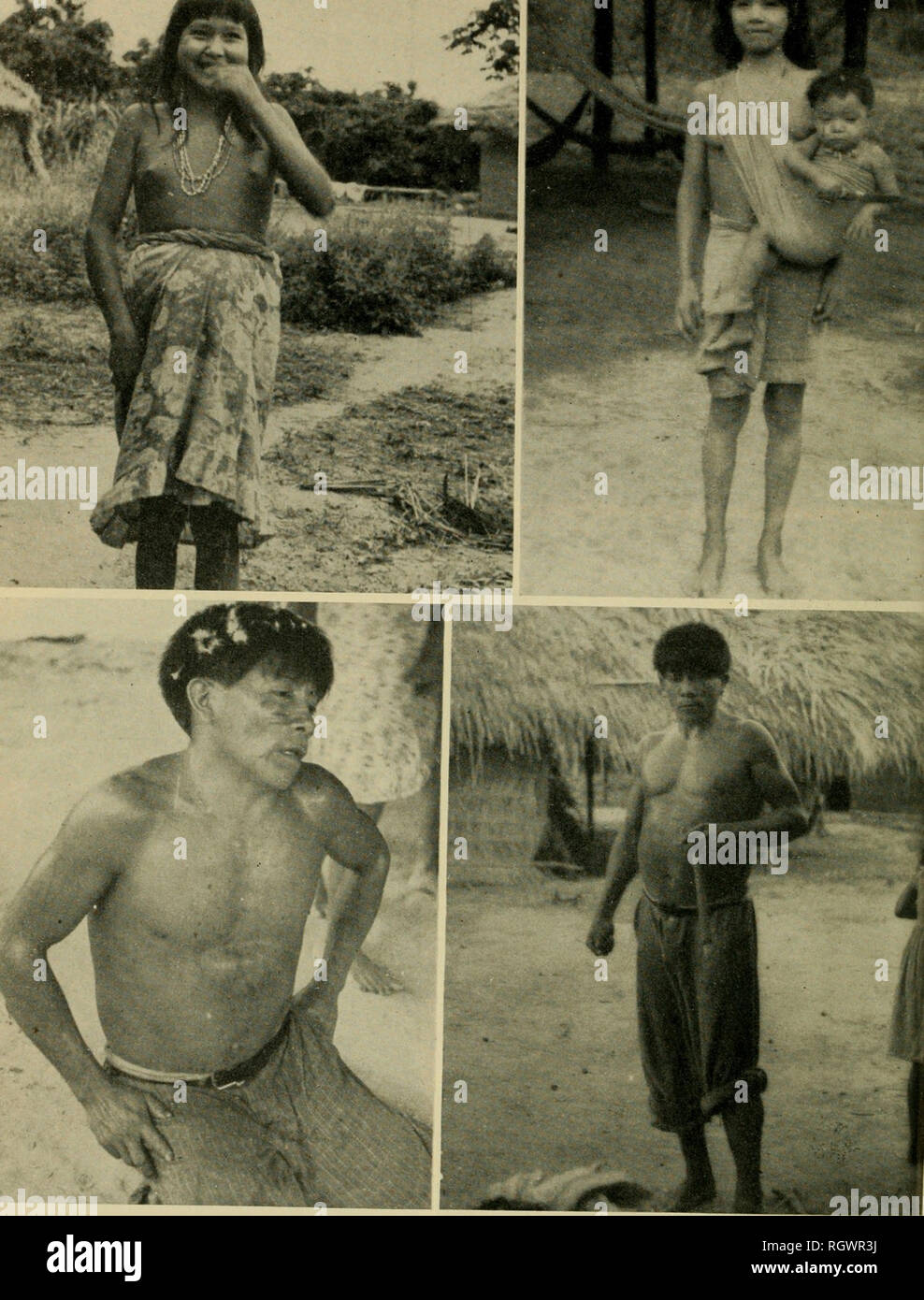 . Bollettino. Etnologia. La piastra 14.-Tenelehara donne e sciamano. Top, Ujt: Ragazza appena prima della pubertà cerimonia. In alto a destra: donna e bambino. In basso, sinistra: Shaman possedeva bv spirito familiare. In basso a destra: Shaman fumatori di tabacco lungo il sigaro e tenendo in mano un oggetto disegnato da un malato. (Courtesy Charles Wagley.). Si prega di notare che queste immagini vengono estratte dalla pagina sottoposta a scansione di immagini che possono essere state migliorate digitalmente per la leggibilità - Colorazione e aspetto di queste illustrazioni potrebbero non perfettamente assomigliano al lavoro originale. Smithsonian Institution. Ufficio di presidenza di Etnologia americana. Foto Stock