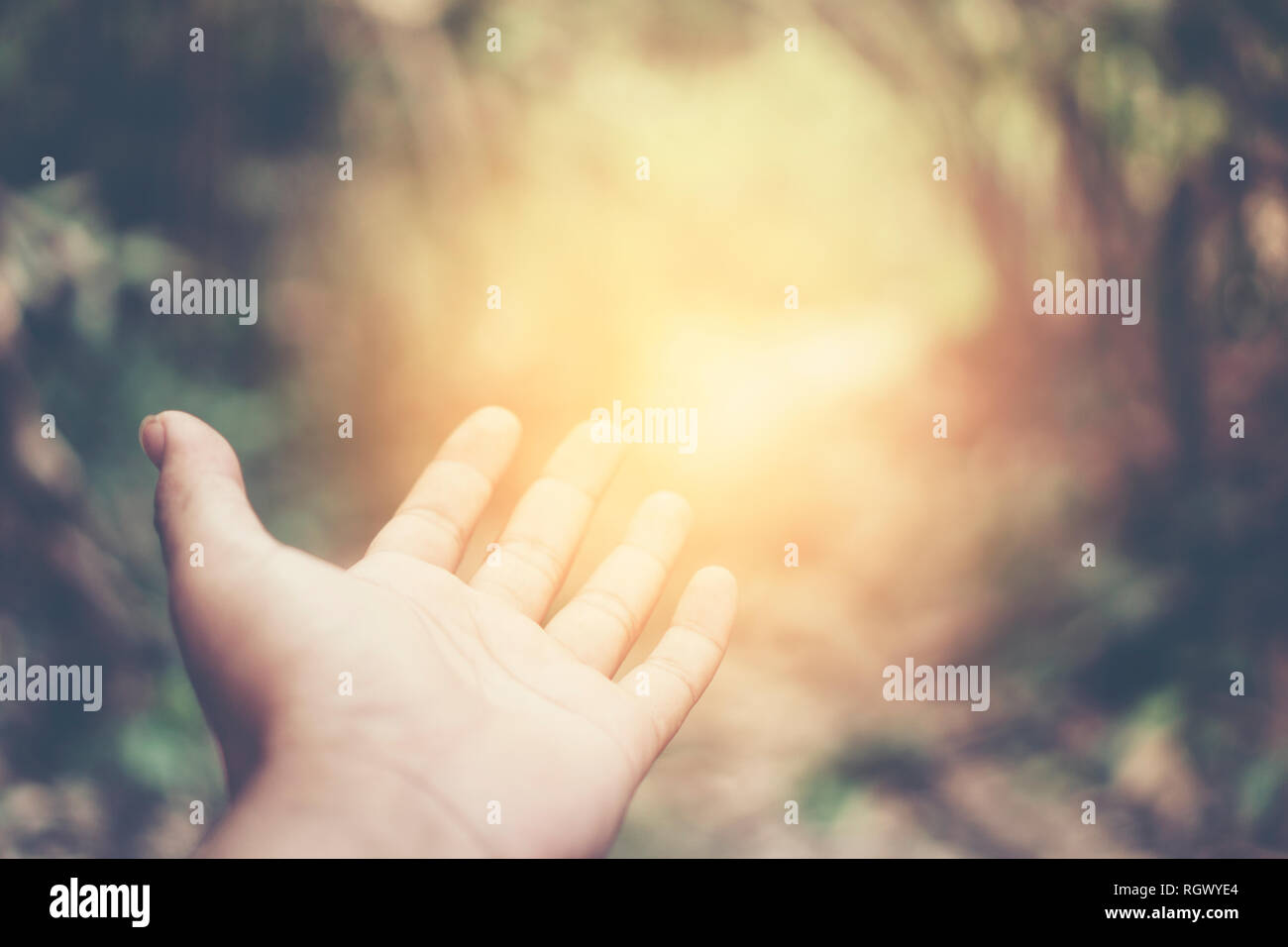 Natura concetto di collegamento Foto Stock