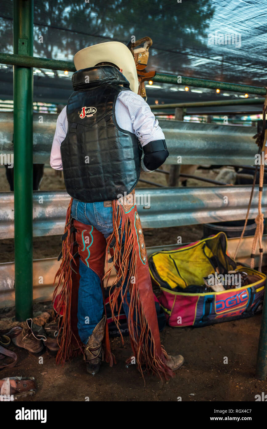 Professional rodeo cowboy Foto Stock