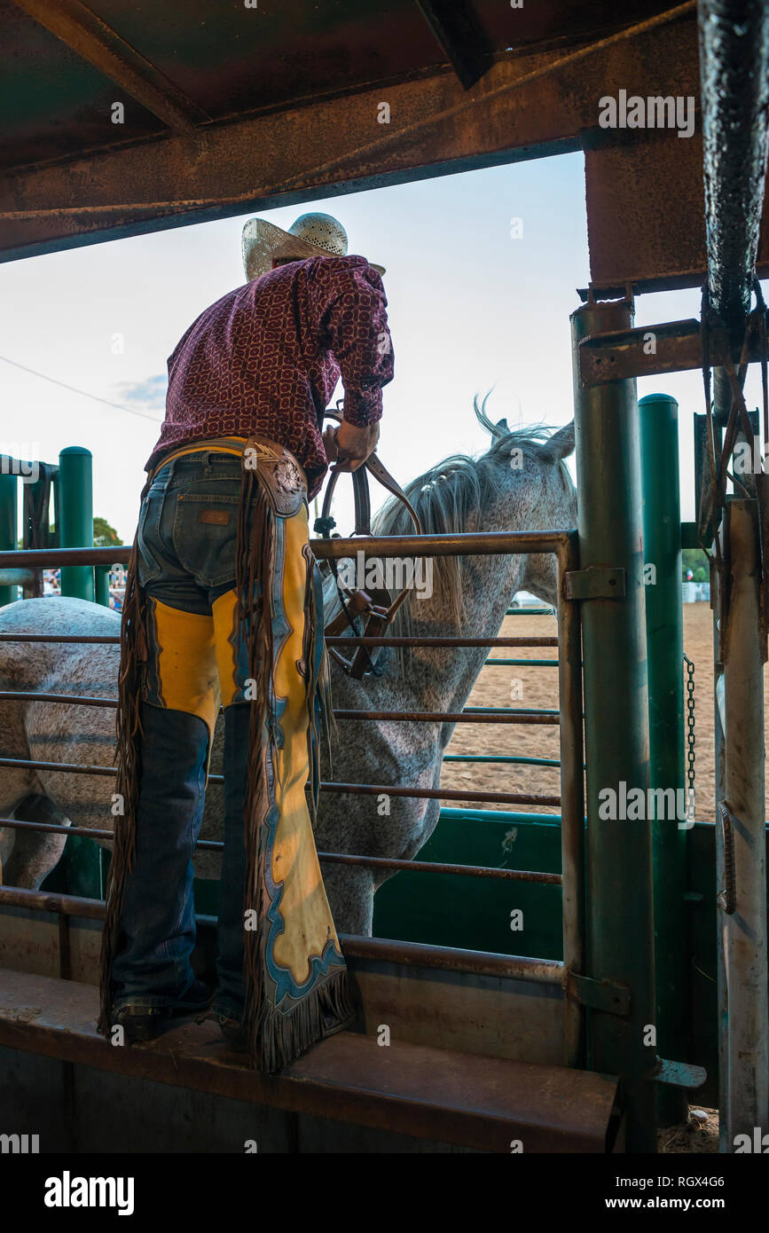 Professional rodeo cowboy Foto Stock