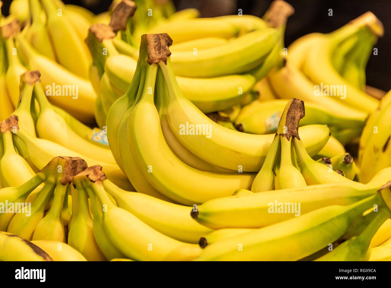 Esposizione di banane fresche presso un mercato alimentare di Atlanta, Georgia, zona Lidl. (USA) Foto Stock