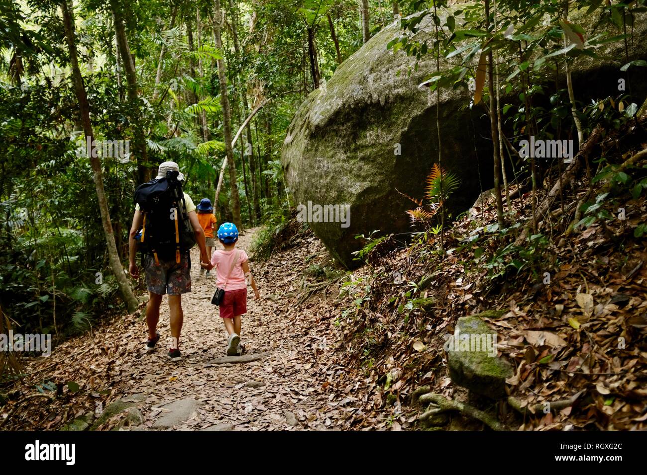 Un padre passeggiate con i suoi figli attraverso una lussureggiante foresta pluviale tropicale, Finch Hatton, Queensland 4756, Australia Foto Stock