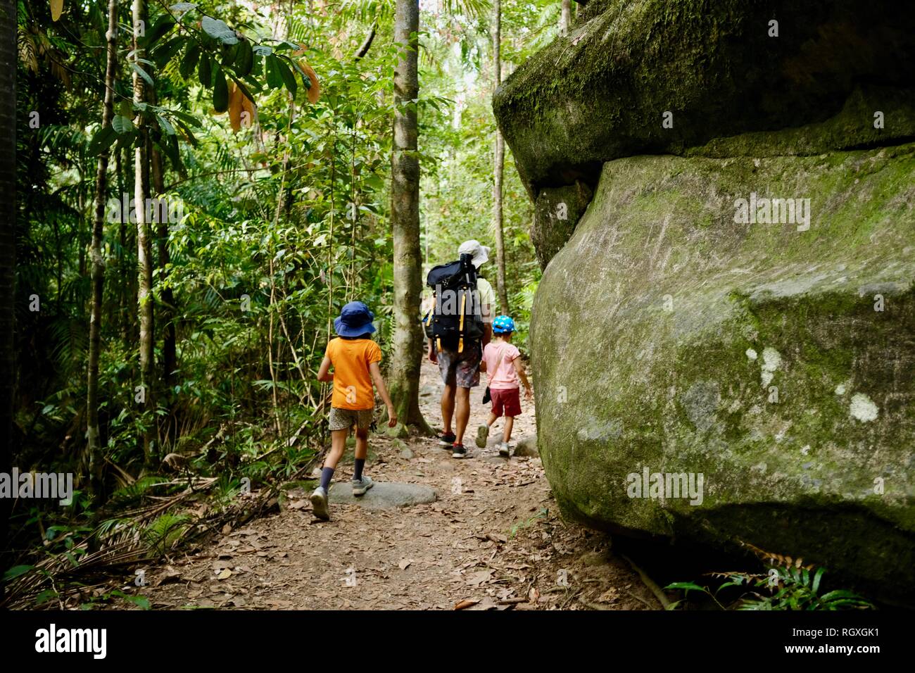 Un padre passeggiate con i suoi figli attraverso una lussureggiante foresta pluviale tropicale, Finch Hatton, Queensland 4756, Australia Foto Stock