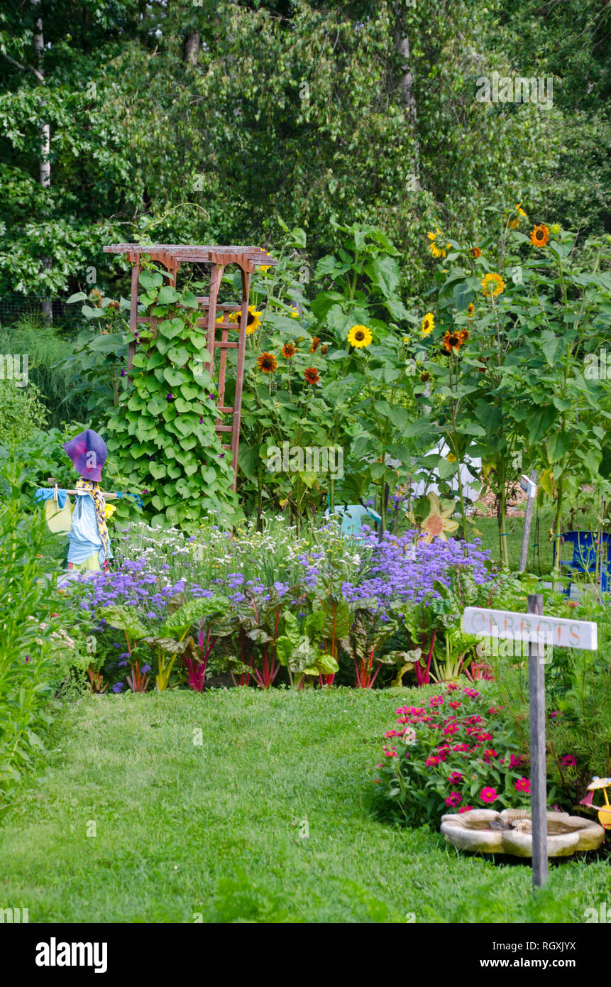 Giardino bellissimo percorso con fiori e verdure con giardino arch, Maine, Stati Uniti d'America Foto Stock