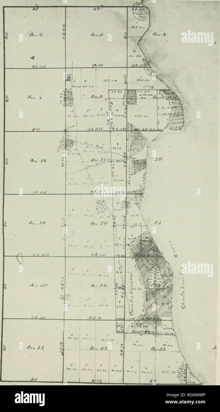. Bollettino. Etnologia. Ufficio di presidenza americana di etnologia bollettino 169 della piastrina 46. Sito A. Plat di Econchatimico della riserva frazionaria in T. 5 N., R. 7 W. originariamente sur- veyed nel quarto trimestre del 1825, da Hays e Drake, resurveyed nel quarto trimestre, 1843 da George Houston, Vice ispettore. I campi di indiani sono illustrati mediante tratteggio trasversale, che portano i nomi degli occupanti abusivi bianco che li interrotto. (Plat Prenota Campo Nota Divisione, membro del dipartimento dell'agricoltura, Tallahassee, Florida) '. Si prega di notare che queste immagini vengono estratte dalla pagina sottoposta a scansione di immagini che possono essere state migliorate digitalmente per la leggibilità - Foto Stock