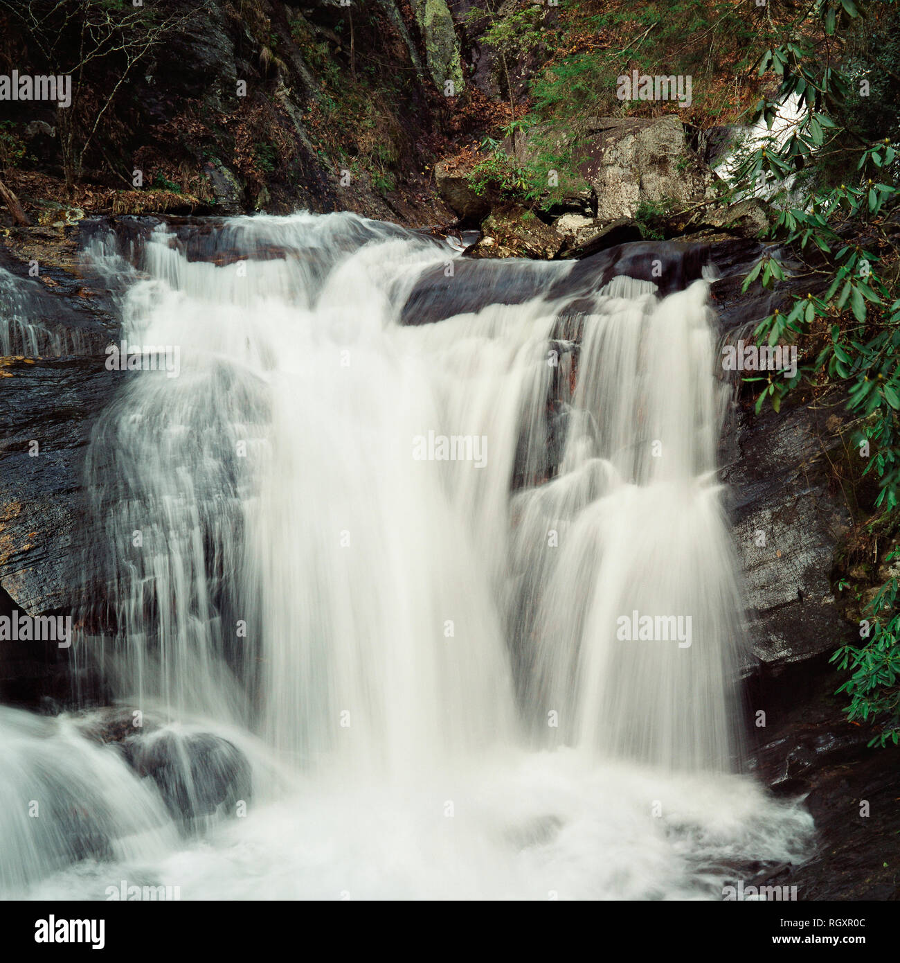 Duchi Creek Falls Foto Stock