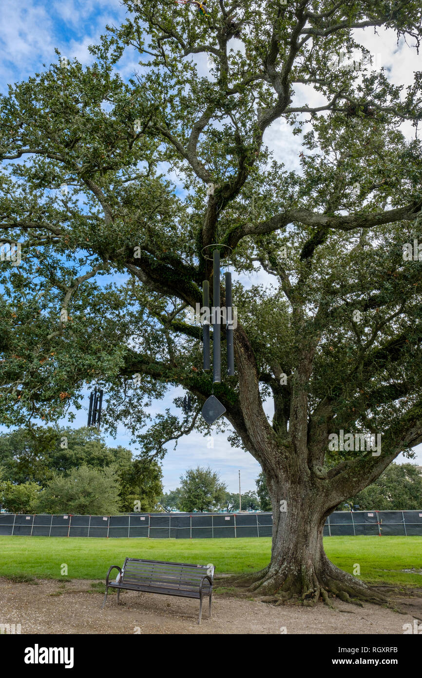 Il canto Quercia, o chime Tree, artista Jim Hart - New Orleans City Park, New Orleans, Louisiana, Stati Uniti d'America Foto Stock