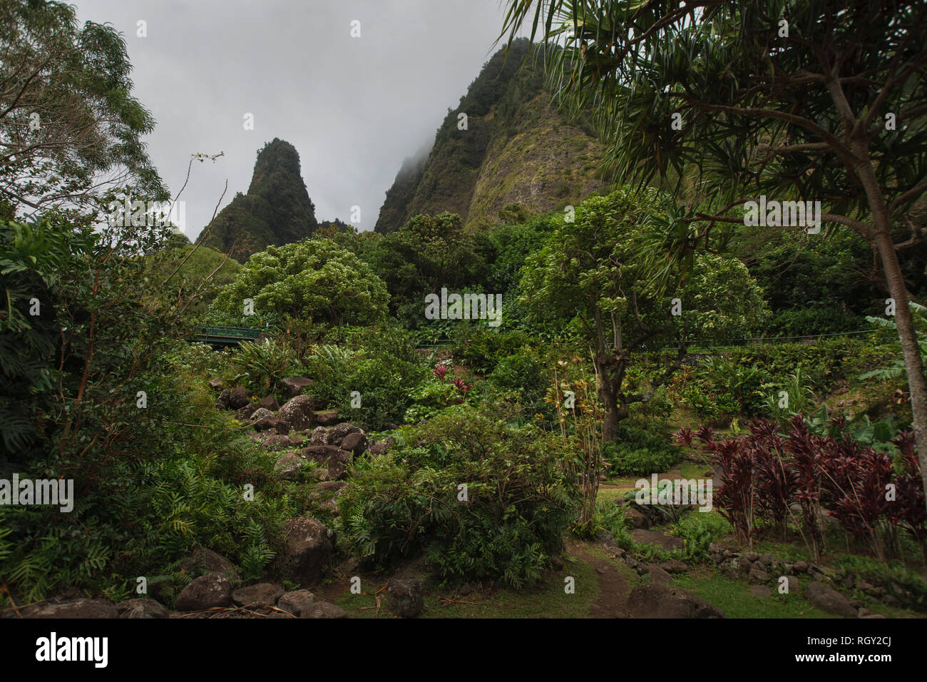 Giardini e Iao ago Iao Valley in Maui Foto Stock