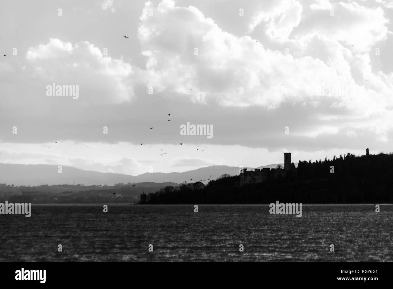 Uccelli in volo sul lago Trasimeno Foto Stock