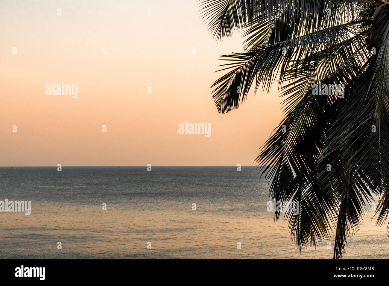 Bella la silhouette di Palma foglie con mare calmo acqua e cielo chiaro in background durante il tramonto visibile orizzonte. La dispersione della luce durante su Foto Stock