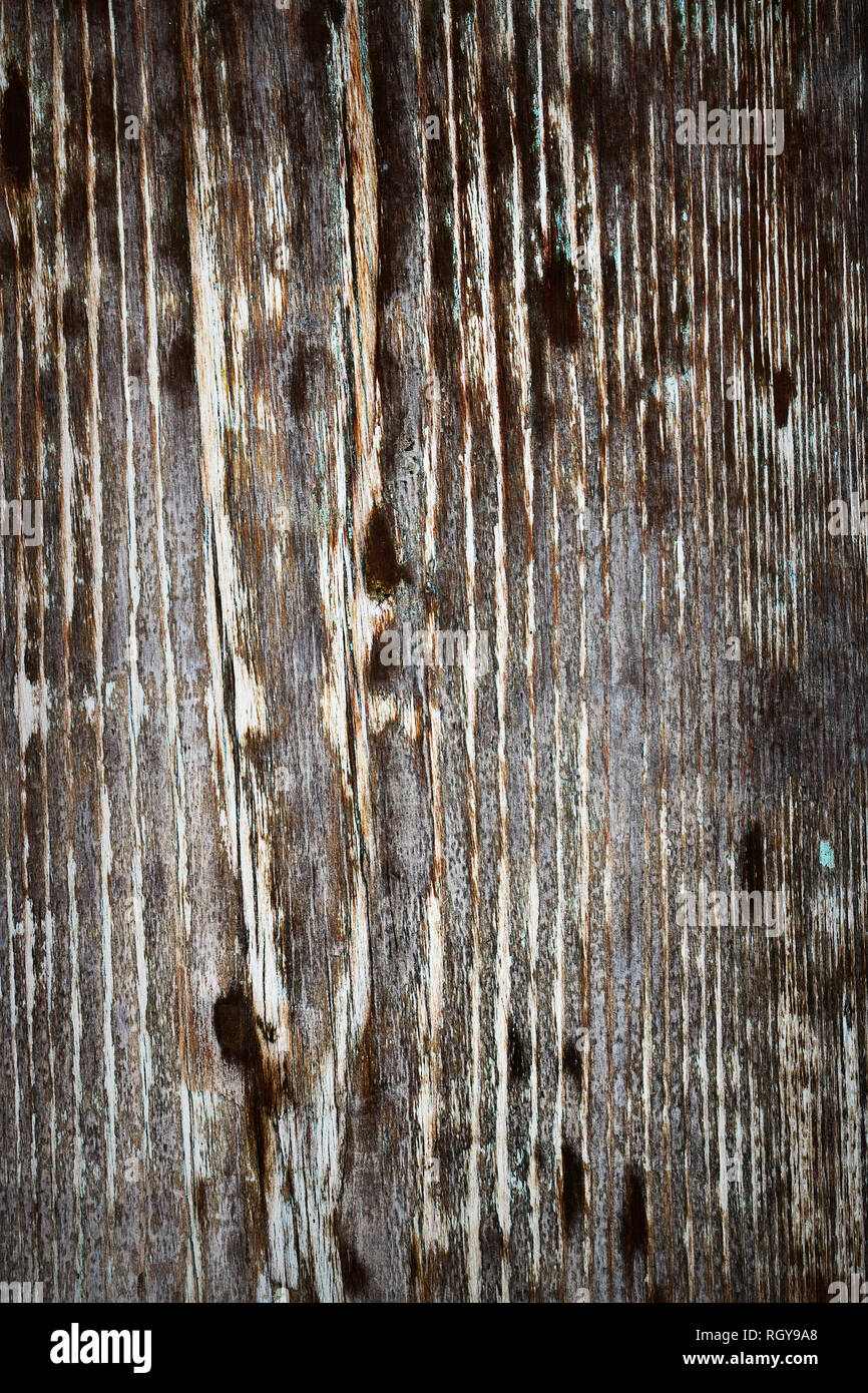 Alterò la superficie in legno naturale, plank texture per il vostro design Foto Stock
