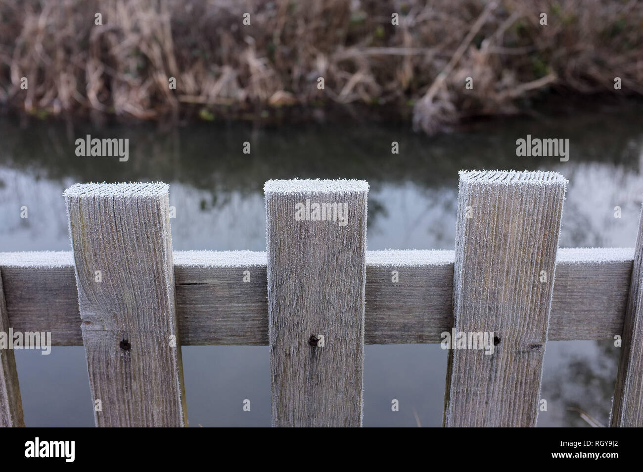 Mattina il gelo su un giardino recinto dal fiume nel Wiltshire. Regno Unito. 2019 Foto Stock