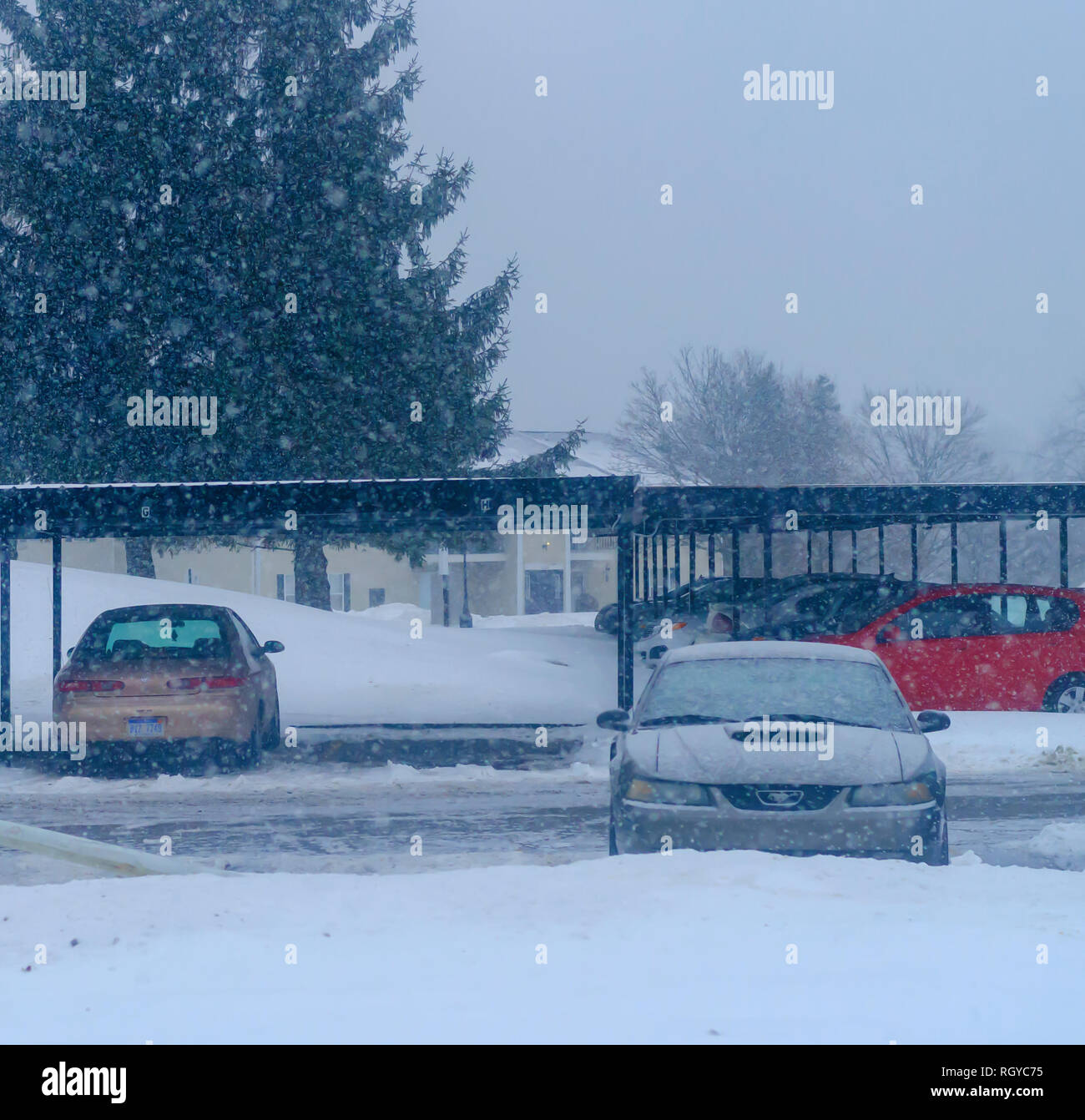 La neve caduta sul e lentamente a copertura di un colore grigio metallizzato Ford Mustang GT Coupé, parcheggiato all'aperto durante una forte tempesta di neve nel Michigan, Stati Uniti d'America. Foto Stock