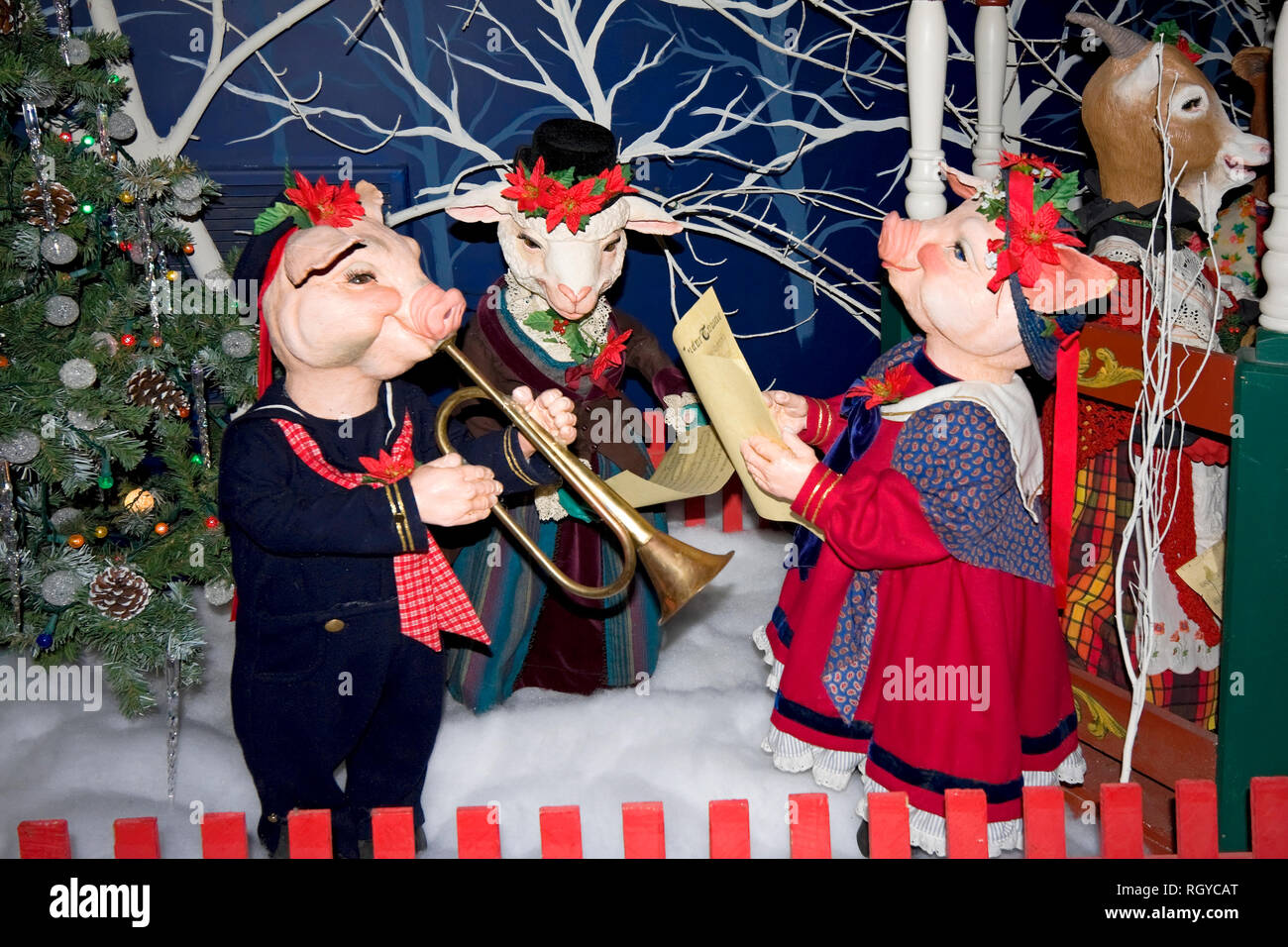 Figure di animali, musicisti; cantare; suini; pecore; capra; gli alberi, display invernale; Natale; holiday, decorazione, colorato; Orizzontale; PR Foto Stock