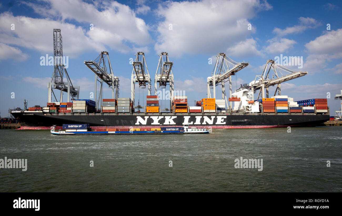 ROTTERDAM - Mar 16, 2016: NYK Line nave container essendo caricato dal gantry cranes in ECT terminale marittimo nel porto di Rotterdam Foto Stock