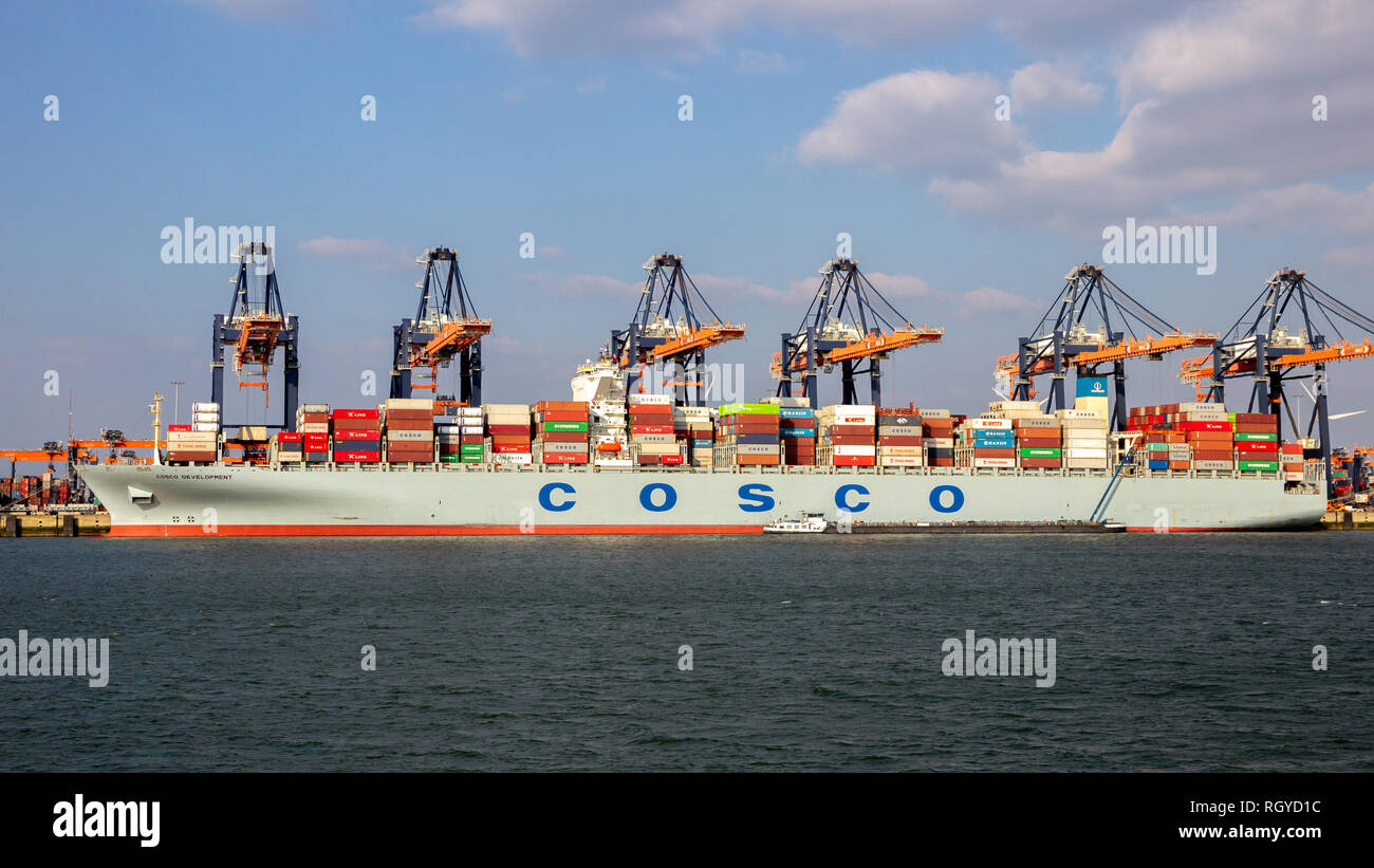 ROTTERDAM - Mar 16, 2016: COSCO Container nave venga caricato dal gantry cranes in ECT terminale marittimo nel porto di Rotterdam Foto Stock