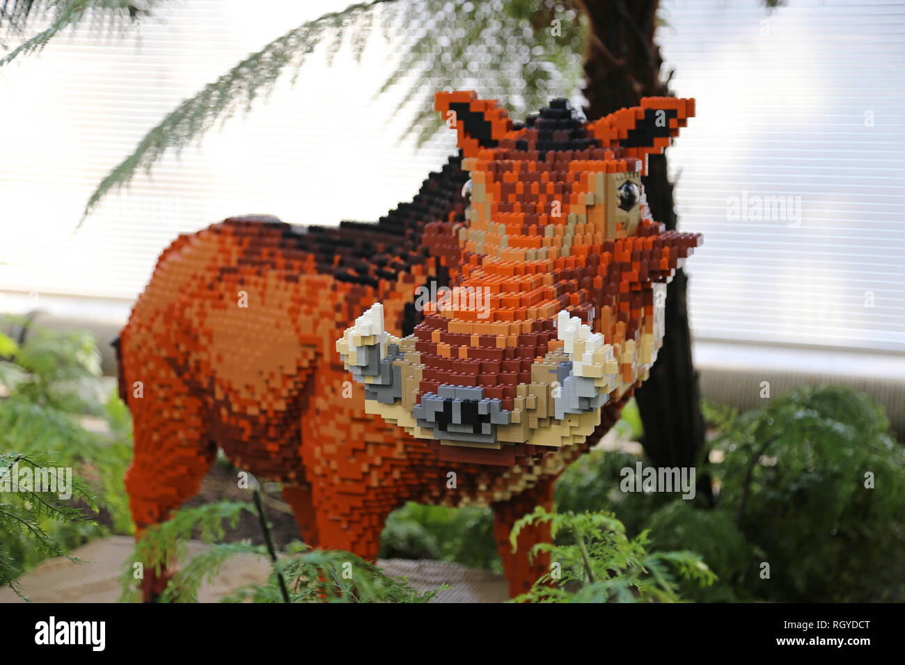 Grande mattone Safari 2019, Comune Warthog fatta di Lego, giardino RHS Wisley, Woking, Surrey, Inghilterra, Gran Bretagna, Regno Unito, Gran Bretagna, Europa Foto Stock