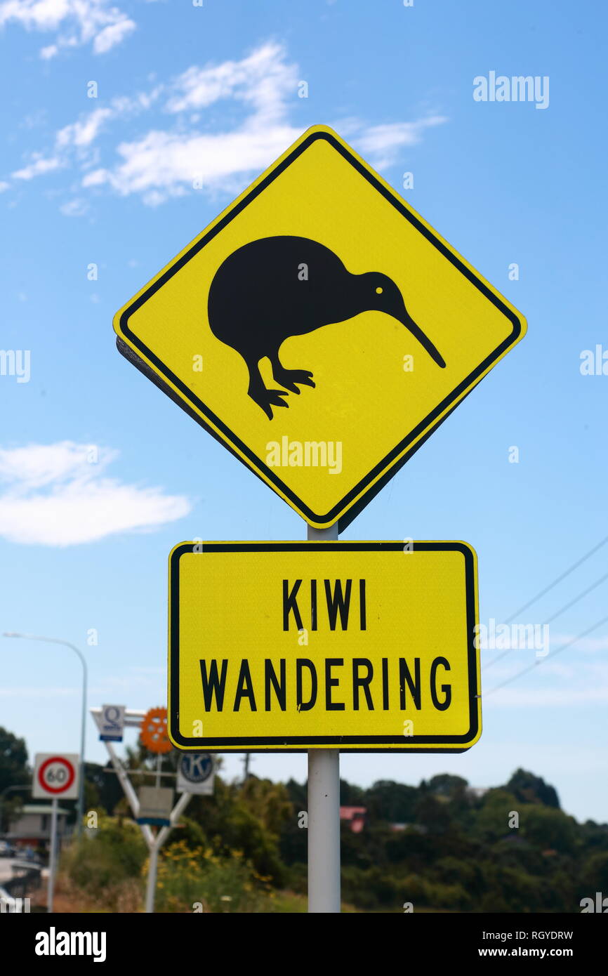Segno di avvertimento di vagabondaggio Kiwi a Ohope Road, Whakatane, Nuova Zelanda Foto Stock