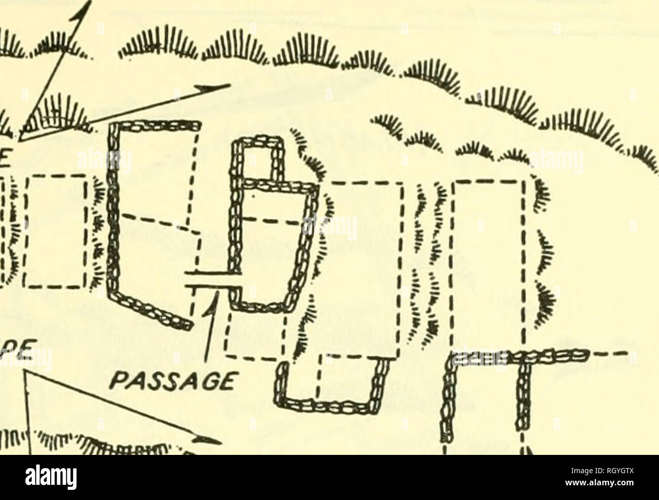 . Bollettino. Etnologia. WiLLBT] modelli di insediamento, VIRU VALLEY, Perù 273 direzione della pendenza in direzione della pendenza ''lllllKliii'' W. "?fm^. 'Nr^' y-213 Vlmf (MABNETIC) X UNA SCALA IN METRI di figura 64.-V-213 piano terra. Sperone collinare posizione. Datazione incerta sia come Puerto Moorin e Tomaval sono rappresentati, ma probabilmente queste ultime date in strutture di forma e ad altri di Tomaval e post-Puerto Moorin periodi, suggeriscono la Tomaval dating per le strutture visibili. Y-211^.-Questo sito si trova su un altro sperone inclinato o cresta sulla faccia delle colline di Huacapongo-South (Quad E-2, a nord-est). Foto Stock