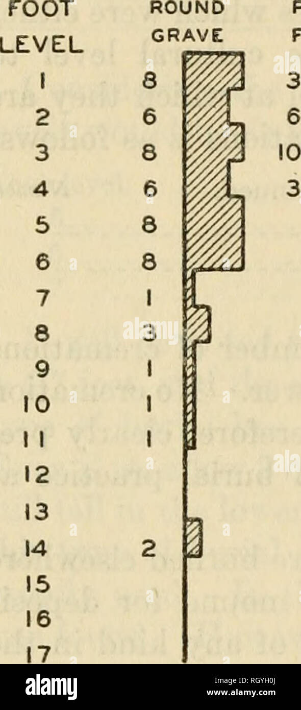 . Bollettino. Etnologia. 114 Bureau of American etnologia [Boll. 129 42 percento del totale-erano così disturbati o altrimenti reso disponibile per questo studio. Tuttavia le conclusioni tratte resto solo su quelle sepolture di wliich tipo sicuramente potrebbe essere determinata. È un po' a corto di sorprendente che la stratigrafia di qualsiasi tipo potrebbe essere trovato in vista del modo in cui la shell si accumulano middens mediante lenta accrescimenti che sono stati irregolarmente sparsi sulla superficie e in vista dell'importo relativamente elevato degli aborigeni di scavare in questi cumuli di rifiuti. È possibile trovare solo la stratigrafia Foto Stock