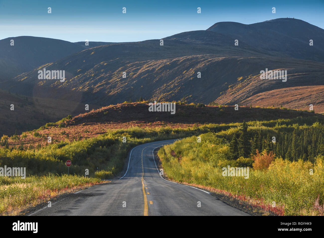 Porzione lastricata di Taylor autostrada tra Tok e Eagle, Alaska, STATI UNITI D'AMERICA Foto Stock