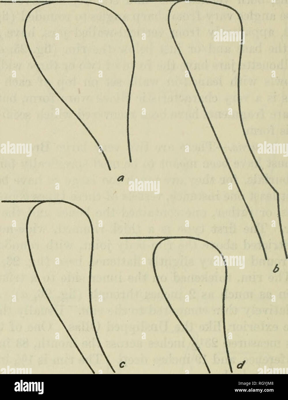 . Bollettino. Etnologia. 54 Bureau of American etnologia [Bum,. 140 collo fuori ad un alto spallamento, poi si voltò bruscamente verso il basso (fig. 27, &AMP;). Sia appiattita e arrotondato basi Olla di impasto si verificano. Molti esterni sono infilate sulle loro porzioni inferiori. Colli campo attraverso una serie completa da assente (fig. 28, a, h) per alti (fig. 28, c). In quasi tutti i casi. c d Figura 26 marrone-ware thick-bordati di urne cinerarie. dove si verificano colli, essi ruotare di un angolo acuto dal corpo del recipiente e leggermente svasate. Plain, scanalati e colli rigati, alcuni degli ultimi abbastanza complesso in sagoma, trovano (fig. 28, c a m). Olla colli con un Foto Stock