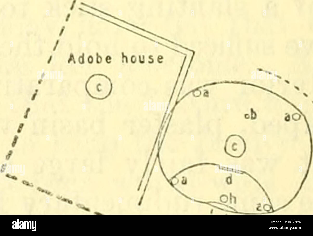 . Bollettino. Etnologia. Casa groppa n. 3 O S lOFT. ; ; House 0 Figura 7.-piano della casa di gruppo n. 3 ; a. Fori per il supporto principale posti; ft, sipapus; c. Sono box; d, deflettori; e, scala poggi; f, ventilatore alberi; g, parete di rientranze; h, il foro nel pavimento di fronte all'apertura di ventilazione, storage fori nel pavimento intonacate con rnud. In proporzione alle dimensioni della casa il passaggio orizzontale era leggermente più lunghi di quelli più grandi mi^strutture. Inoltre esso era stato costruito interamente dal metodo di tunneling. Non ci fosse stata la trincea nel lato del. Si prega di notare che queste immagini sono extra Foto Stock