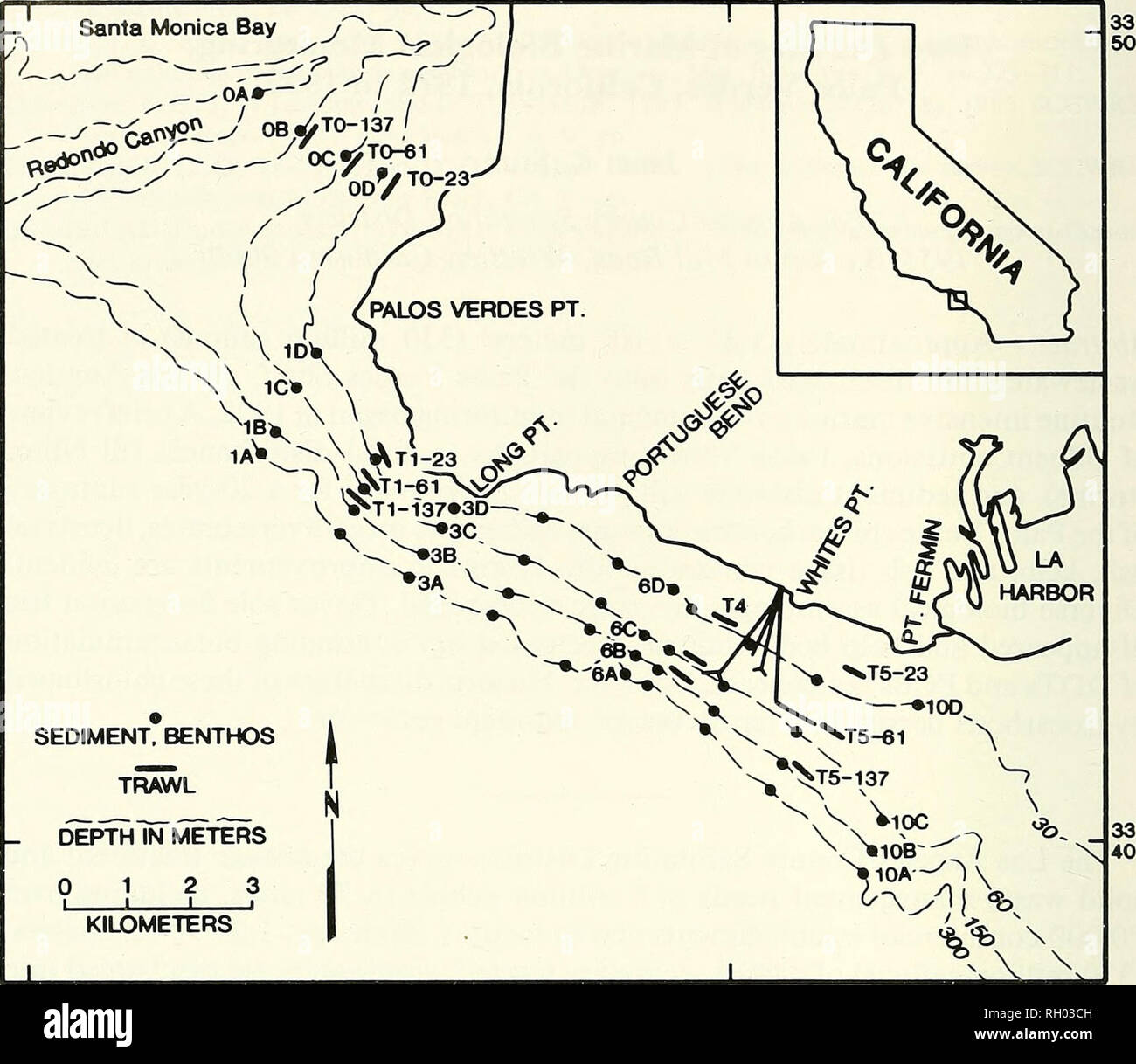 . Bollettino. Scienza e storia naturale; storia naturale. 22 SUD DELLA ACCADEMIA DELLE SCIENZE DELLA CALIFORNIA 118°30' 118°20'. I sedimenti, BENTHOS TR/WL IfTMETERS profondità 0 12 3 chilometri fig. 1. Siti di campionamento sul Palos Verdes ripiano e pendenza. Cinque dei 11 bentonici/sedimenti seca sono etichettati (0, 1, 3, 6 e 10); stazioni si trovano a 30-, 61-, 152- e 305-m Profondità d'acqua. Le 4 reti a strascico seca (A, Tl, T4 e T5) e 3 profondità di acqua campionata (23-, 61- e 137-m) sono indicati. Il sistema emissario offshore si estende dal punto di bianchi. Nei primi anni settanta, prima a migliorare il controllo del codice sorgente e il trattamento practi Foto Stock