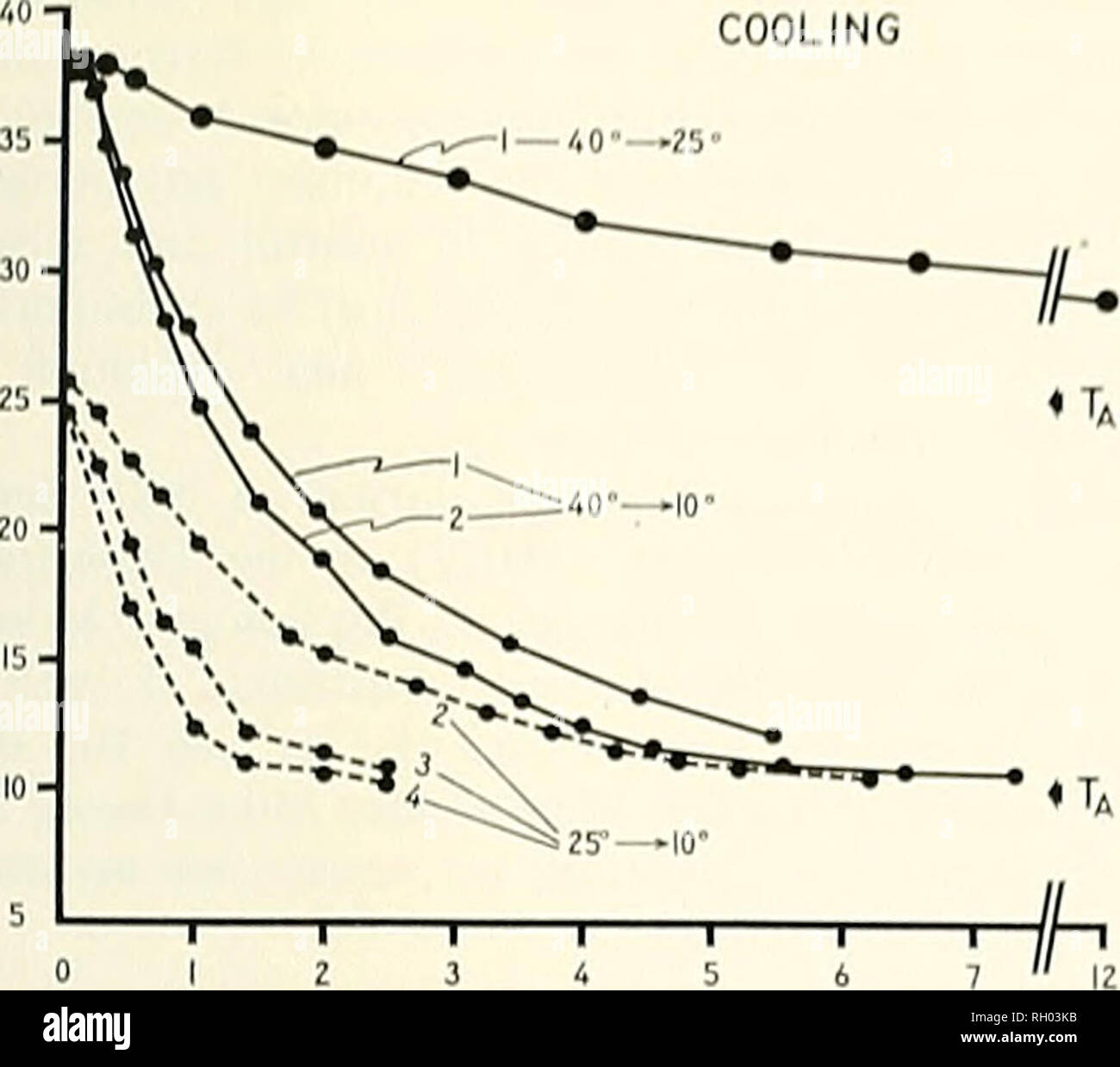 . Bollettino. Scienza e storia naturale; storia naturale. 1973 RICERCA NOTE DI RAFFREDDAMENTO. Il raffreddamento i 25'C " Ta io"C figura I. La temperatura del corpo (cloacale) di pizzo varani, Varanus varius di varie dimensioni per raffreddamento da 40° a 25°, da 40° a 10° e da 25° a 10°C. Lizard 1 è il più grande, 4 è il più piccolo; vedere il testo per misure e pesi. Co. Modello di un teletermometro 44TD. 0-50°C e sonde termistore. Tutte le sonde sono state calibrate contro un US Bureau of Standards termometro certificato. Deep cloacale e temperature esofagea sono state prese con #402 vinile, ensheathed sonde; pelle Foto Stock